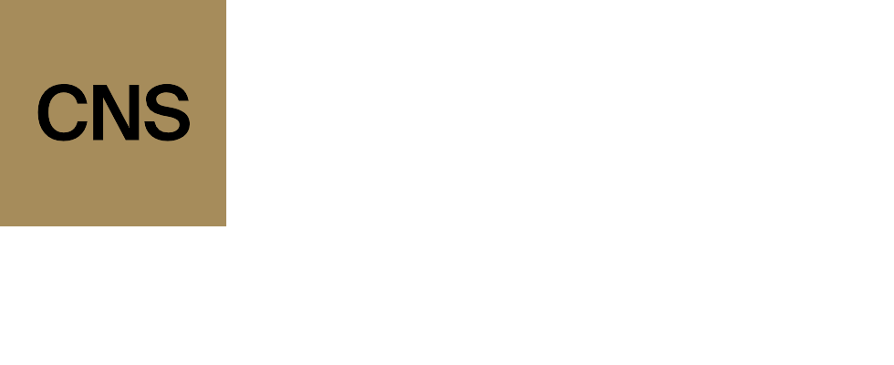 Cognitive Neuroscience